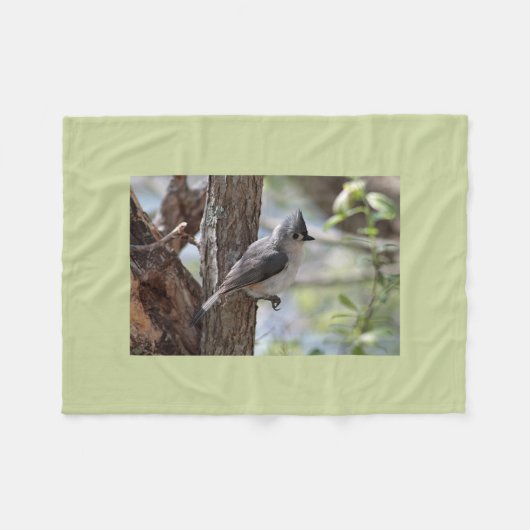 エボシガラ フリースブランケット (正面(横))