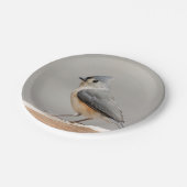 エボシガラ ペーパープレート (アングル)