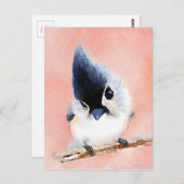 エボシガラ ポストカード (正面/裏面)