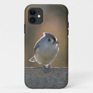 エボシガラ iPhone 11 ケース