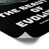 エボリューションシャーク美しい ポスター (角)