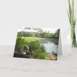 エマの反映カード カード