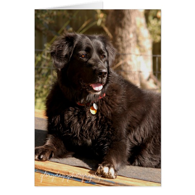 エマのglorydaysphotography (正面)