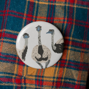エマスの鳥好図解入りの、写真付きのき 缶バッジ