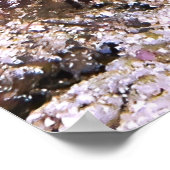 エマージングのマチスエビ ポスター (角)