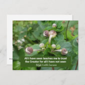 エマーソン引用文花芽Faith Trust the Creator ポストカード (正面/裏面)