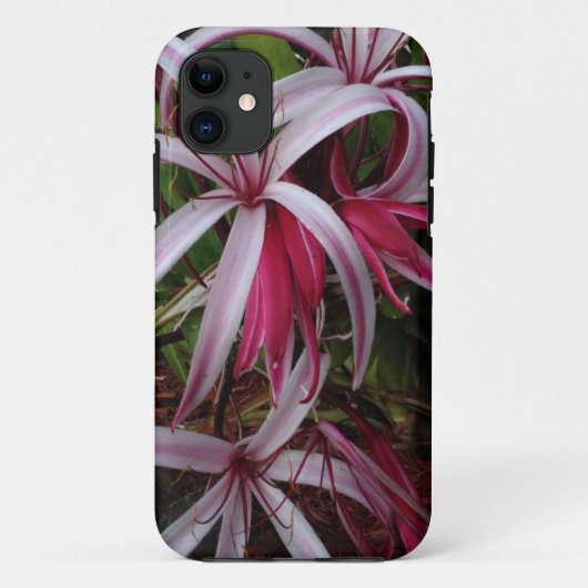 エマ女王の紫クリムリリー Case-Mate iPhoneケース (裏面)
