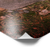 エマ・ボルデン墓マーカー，秋川， MA フォトプリント            (角)