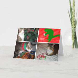 エマMBX5カード シーズンカード