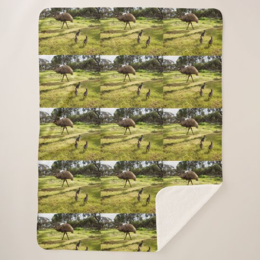 エミューのお父さんと子たち シェルパブランケット (正面)