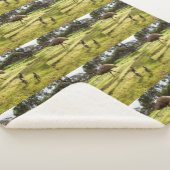 エミューのお父さんと子たち シェルパブランケット (3/4)