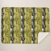 エミューのお父さんと子たち シェルパブランケット (正面(横))