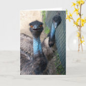 エミューの挨拶状 カード (黄色い花)