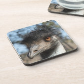 エミュー コースター (左側)