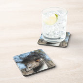 エミュー コースター (右側)