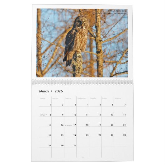 エミリー・ウィロビーによる北米の鳥 カレンダー (3月 2026)