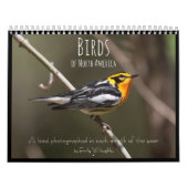 エミリー・ウィロビーによる北米の鳥 カレンダー (カバー)