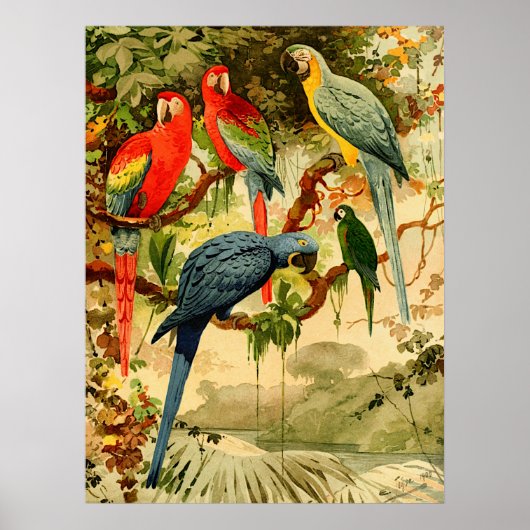 エミルゴルディ威厳があるアララス(1900年~1906年) ポスター (正面)