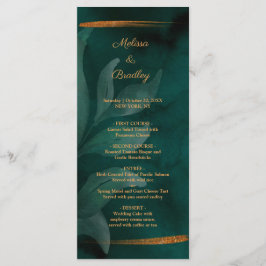 エメモダンラルドグリーン葉・プログラム プログラム