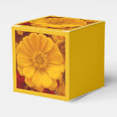 エメライン フェイバーボックス (正面サイド)