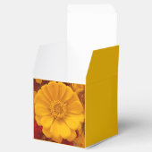 エメライン フェイバーボックス (オープン)