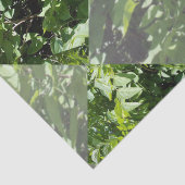 エメラルドのエレガンス:離れダイヤモンドカットの緑の、 薄葉紙 (詳細)