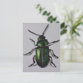 エメラルドのカブトムシプロダクト ポストカード (スタンド正面)