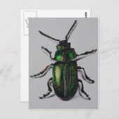 エメラルドのカブトムシプロダクト ポストカード (正面/裏面)