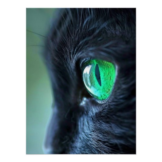 エメラルドの目 黒猫 ポスター (正面)