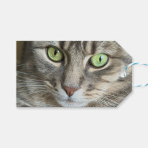 エメラルドアイズ - 緑の瞳の猫の肖像画