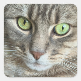 エメラルドアイズ - 緑の瞳の猫の肖像画 スクエアシール