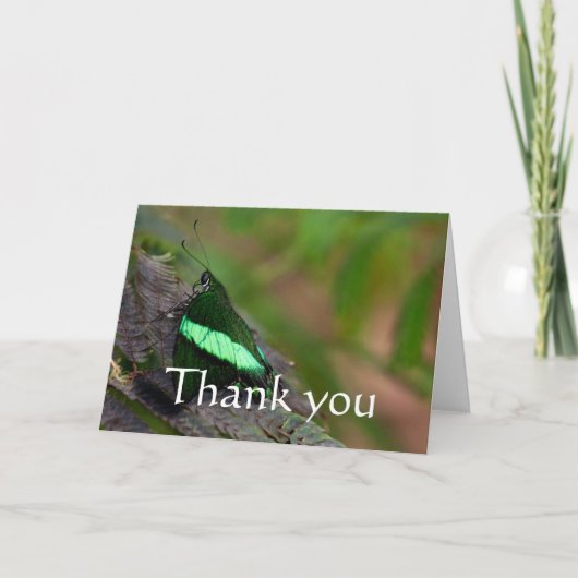 エメラルドアゲハチョウ感謝していユー サンキューカード (正面)