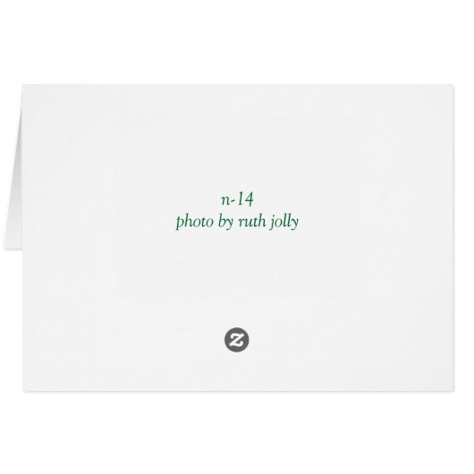 エメラルドアゲハチョウ (裏面横)