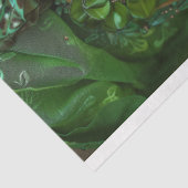 エメラルドエレガンスグリーンフローラヘアドスデクページ 薄葉紙 (詳細)