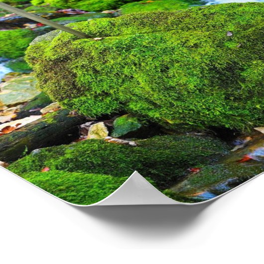 エメラルドオアシス藻類が覆った石 ポスター (角)