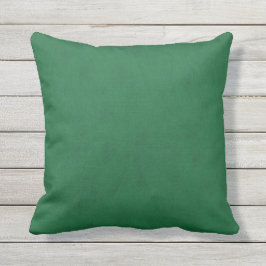 エメラルドグリーンのビロードの一見 クッション