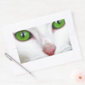 エメラルドグリーンの目を持つ白猫 長方形シール (封筒)