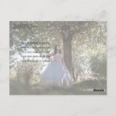 エメラルドグリーンガウンシルバーフォトキンセアニェラ ポストカード (裏面)