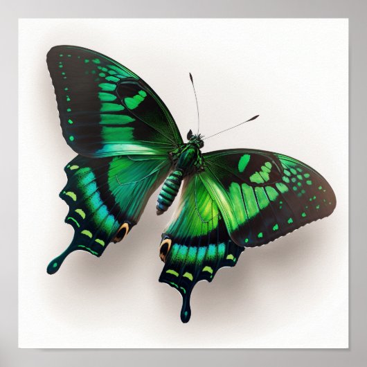 エメラルドグリーンバタフライアートプリントポスター ポスター (正面)