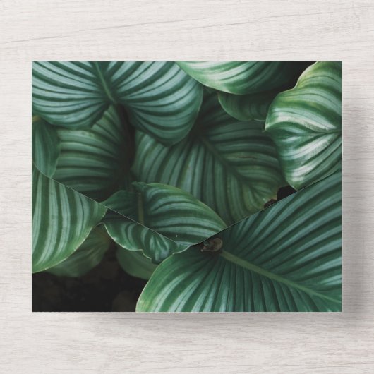 エメラルドグリーン熱帯シックフローラ結婚ズオールイン オールインワン招待状 (裏面)