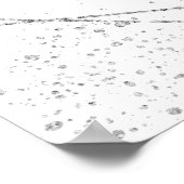 エメラルドグリーン&シルバーティアラキンセアニェラ ポスター (角)