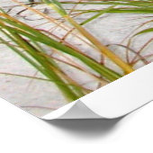 エメラルドコースト（フロリダ州） ポスター (角)