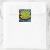 エメラルドツリーボアヘビ スクエアシール (バッグ)