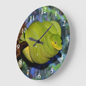 エメラルドツリーボアヘビ ラージ壁時計 (傾斜)