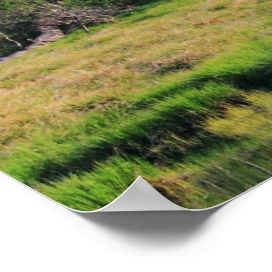 エメラルドフォレスト ポスター (角)