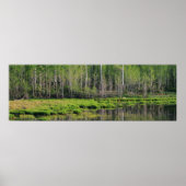 エメラルドフォレスト ポスター (正面)