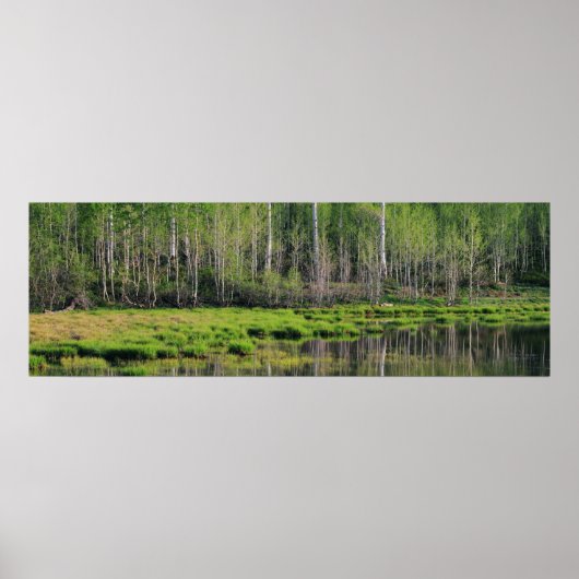 エメラルドフォレスト ポスター (正面)