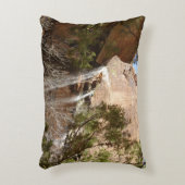 エメラルドプール滝Iジオン国立公園 アクセントクッション (正面(垂直))