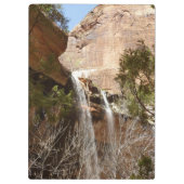 エメラルドプール滝Iジオン国立公園 クリップボード (裏面)