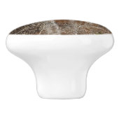 エメラルドプール滝Iジオン国立公園 セラミックノブ (側面)